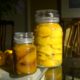 A Low Carbon Life|Post 9 2016|Preserving Gifted Lemons